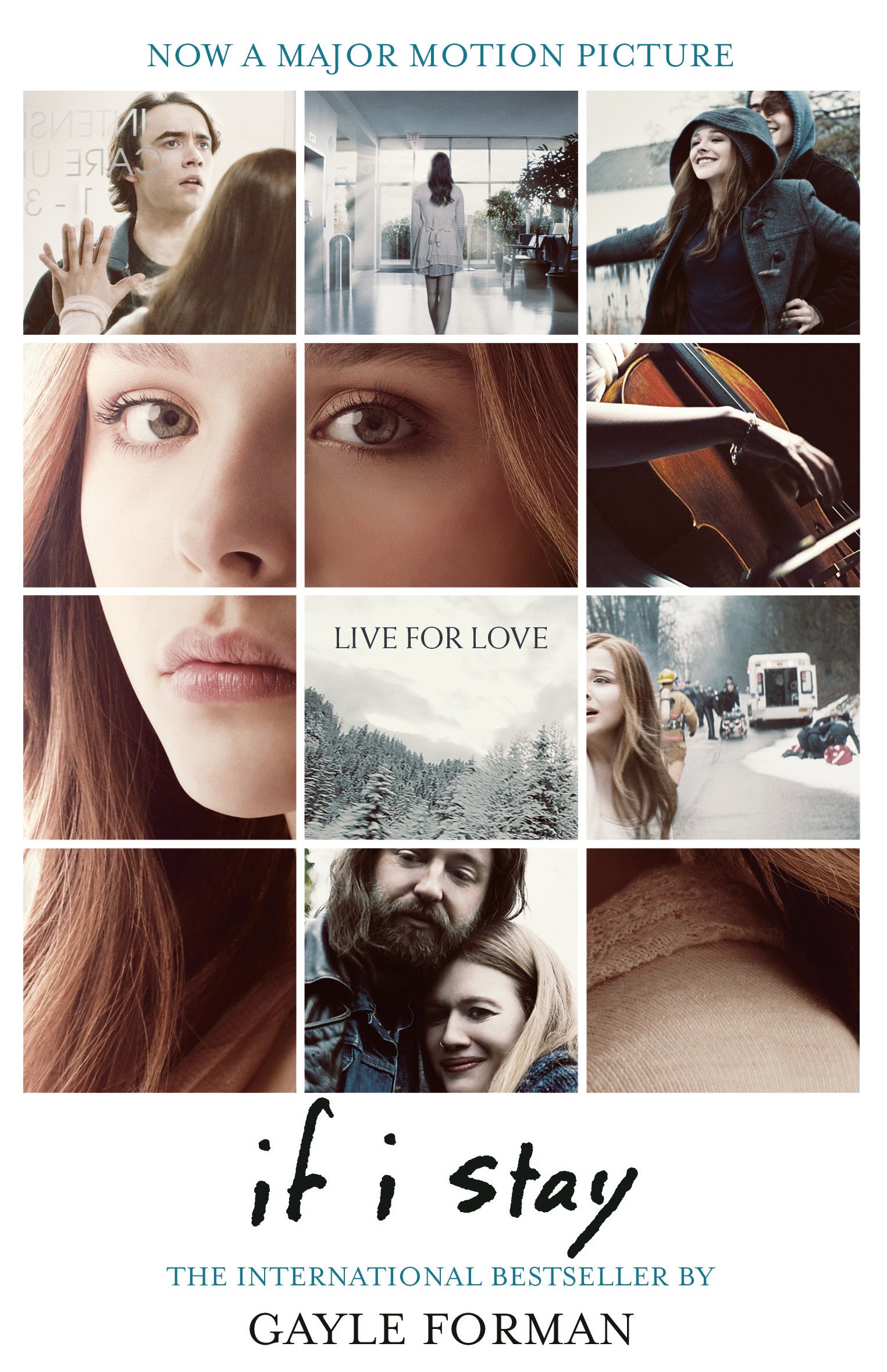 If I Stay Book 1