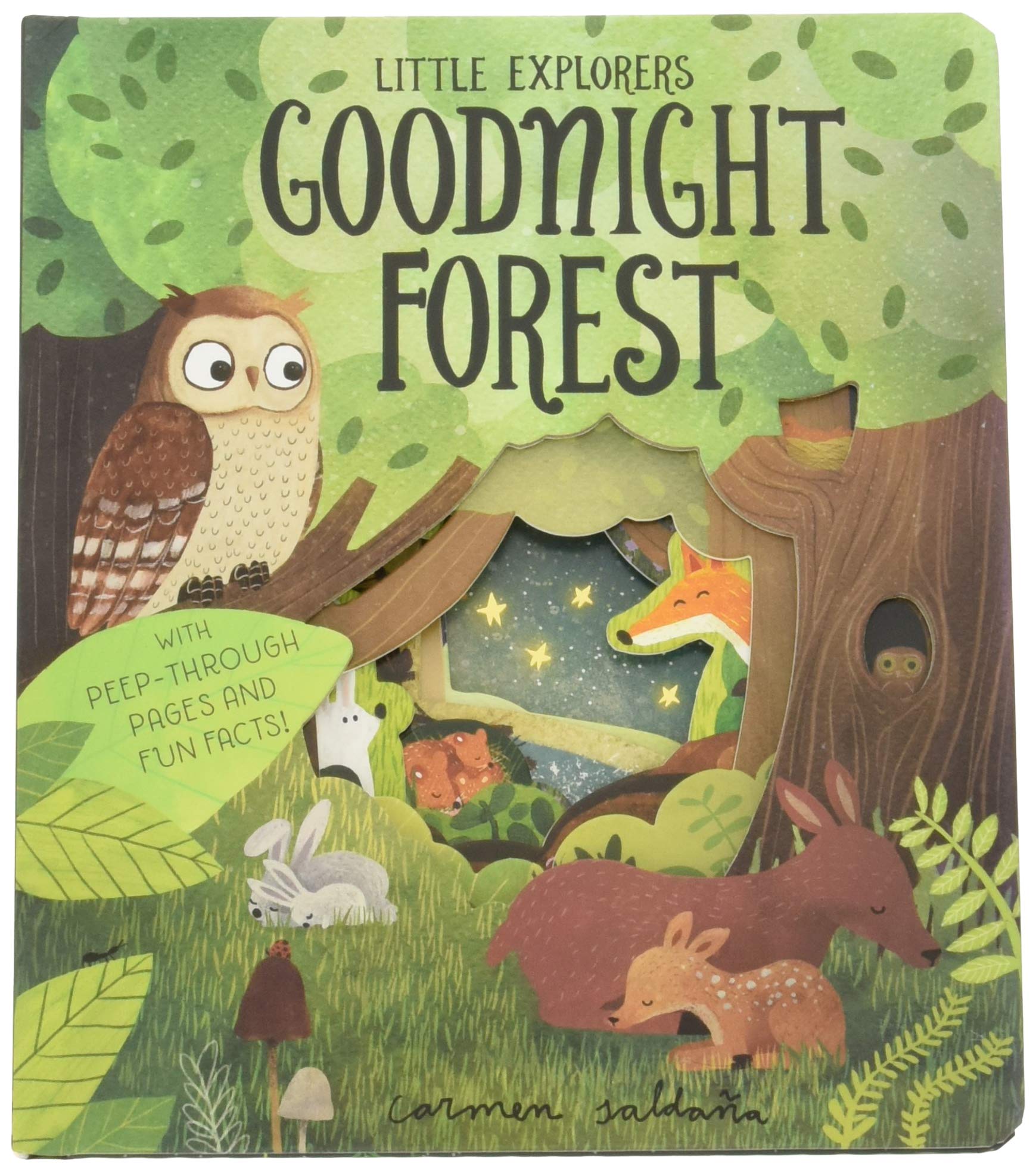 Little Explorers Goodnight Forest