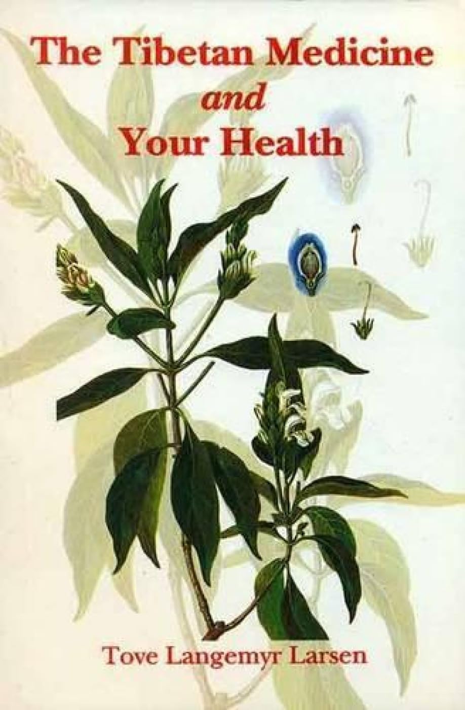 THE TIBETAN MEDICINE AND YOUR HEALTH