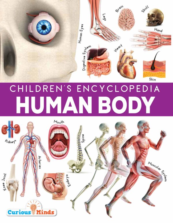 Childrens encyclopedia human body