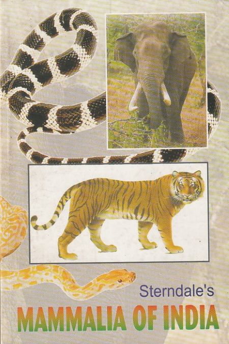 STERNDALES MAMMALIA OF INDIA