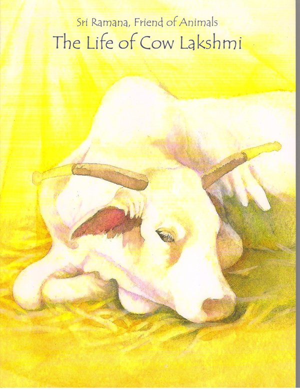 The Life Of Cow Lakshmi