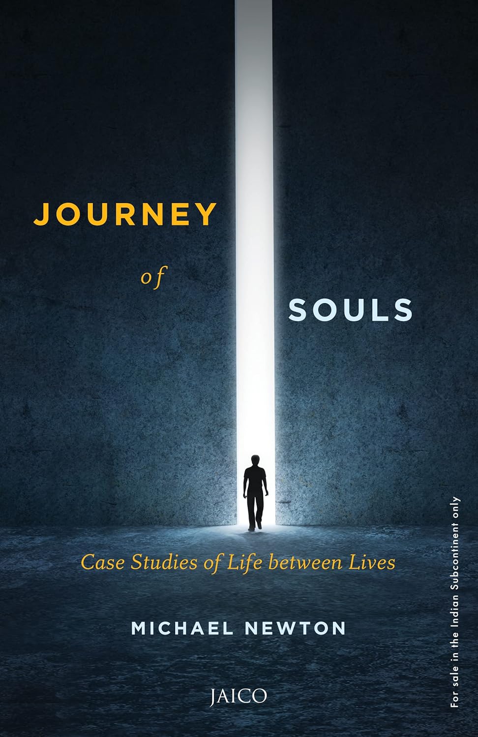 Journey of Souls Case Studies of Life Between Lives