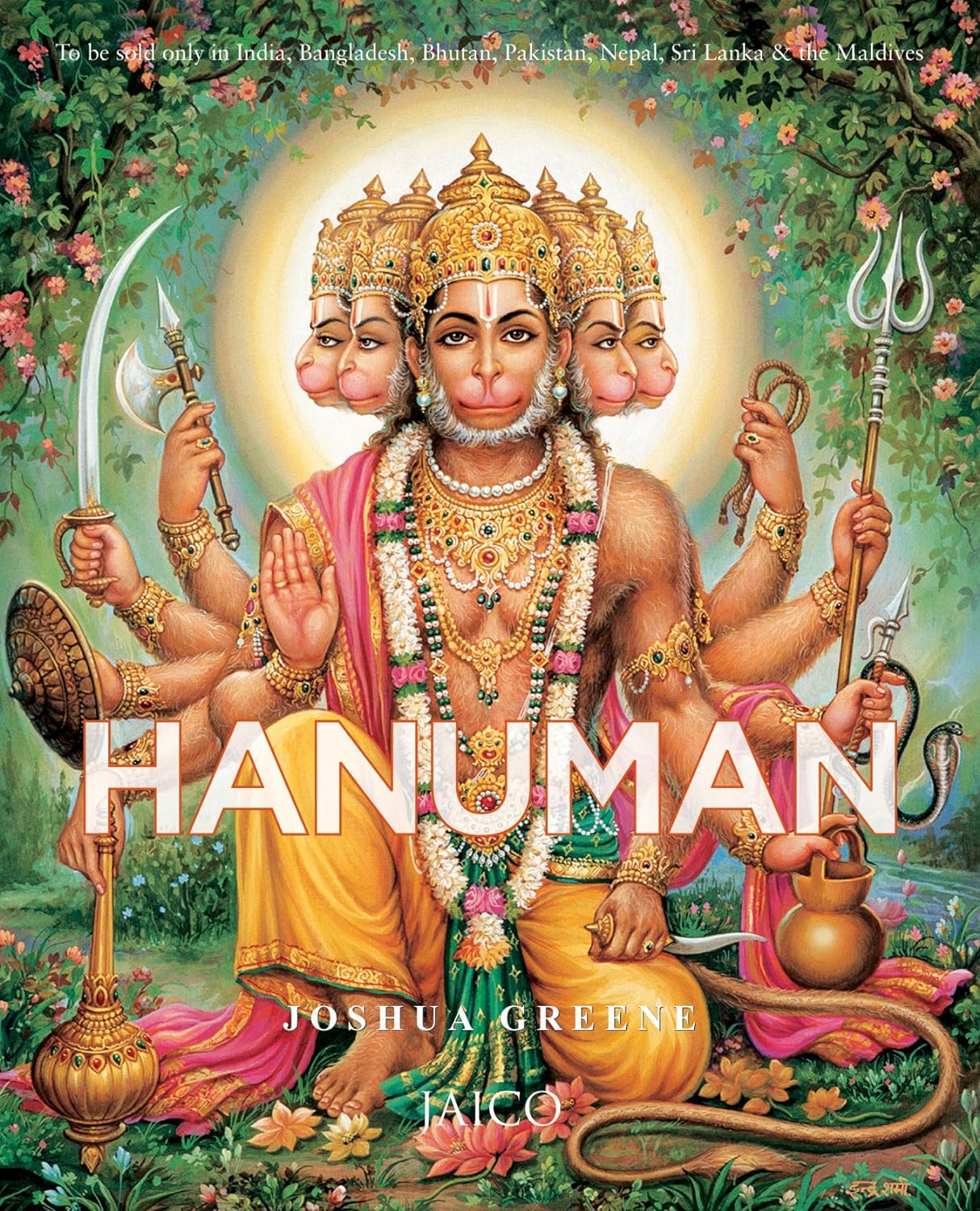Hanuman The Heroic Monkey God