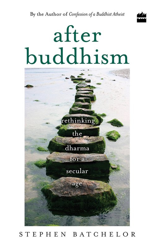 After Buddhism Rethinking Dharma for a Secular Age