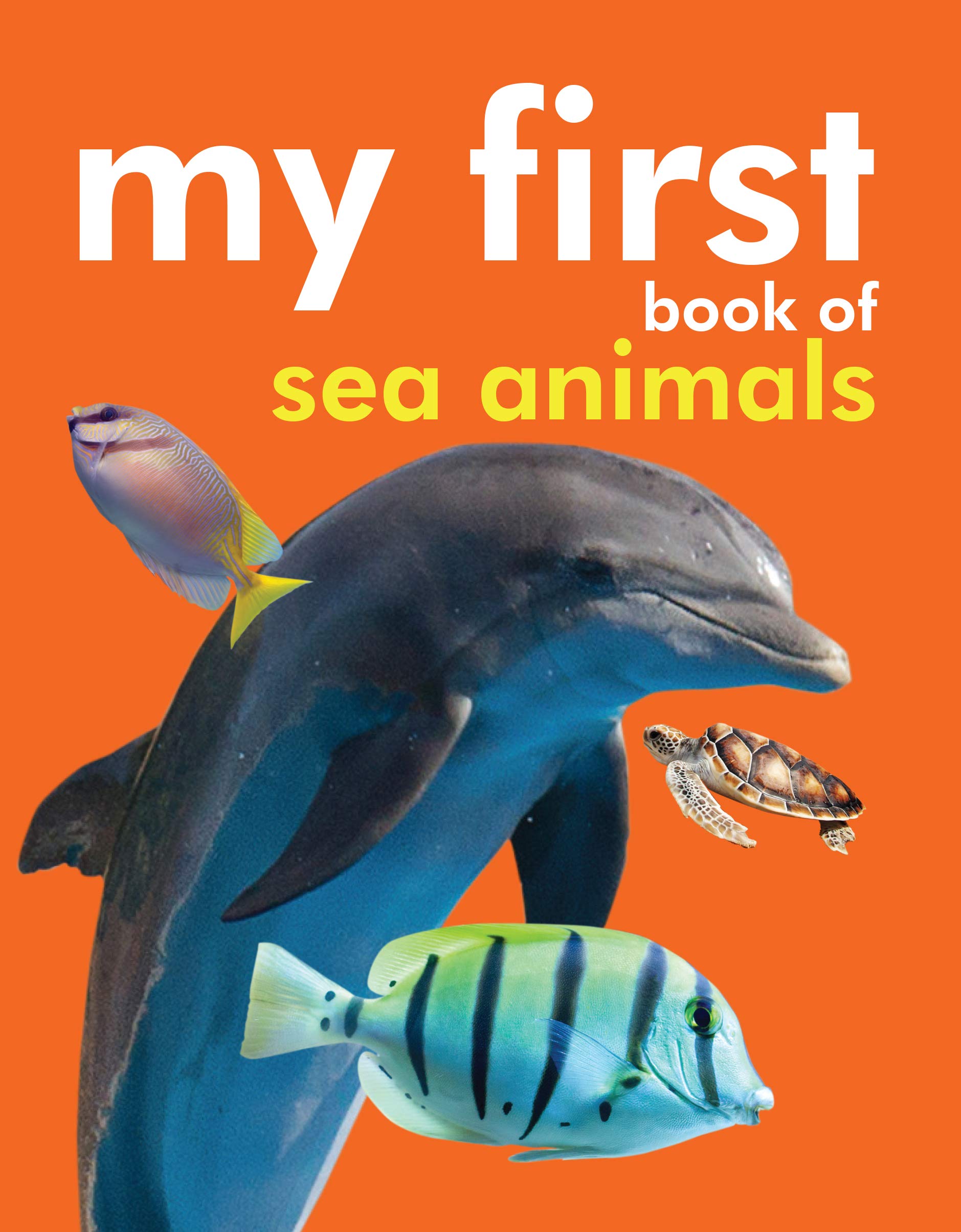 My First Book of Sea Animals