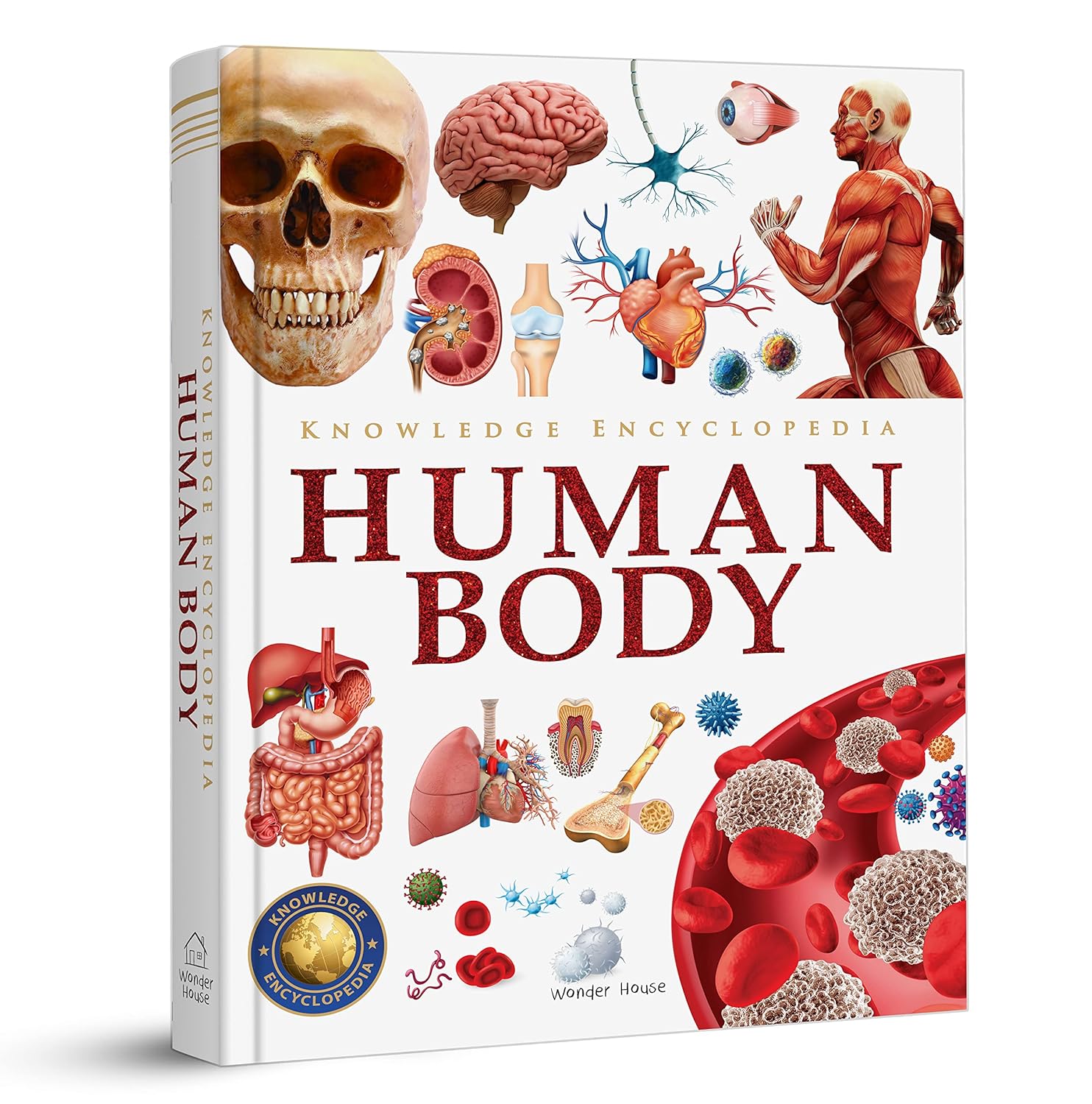 Knowledge Encyclopedia Human Body