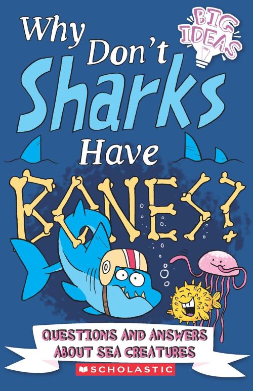 Why Dont Shark Have Bones