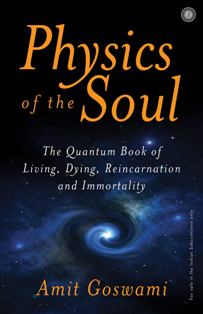 Physics Of The Soul How Quantum Book Of Living Dying Reincarnation And Immortality