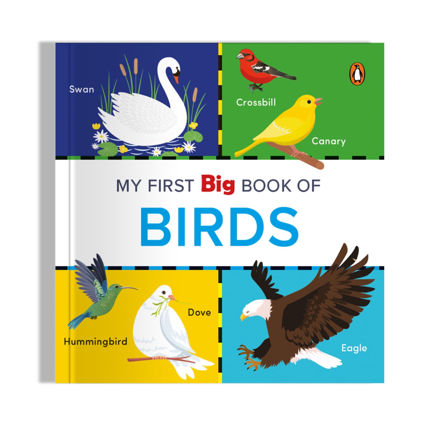 My First Big Book of Birds