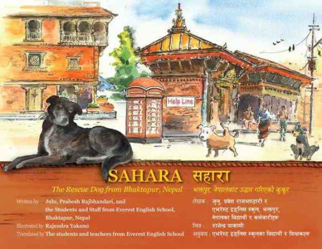 Sahara The Rescue Dog from Bhaktapur Nepal