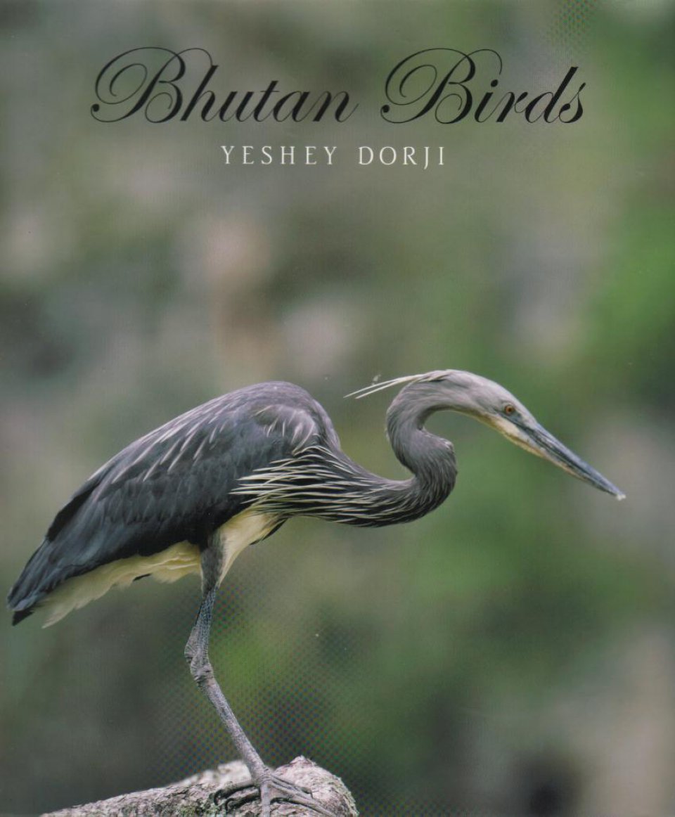 Bhutan Birds 