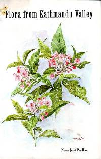 Flora From Kathmandu Valley