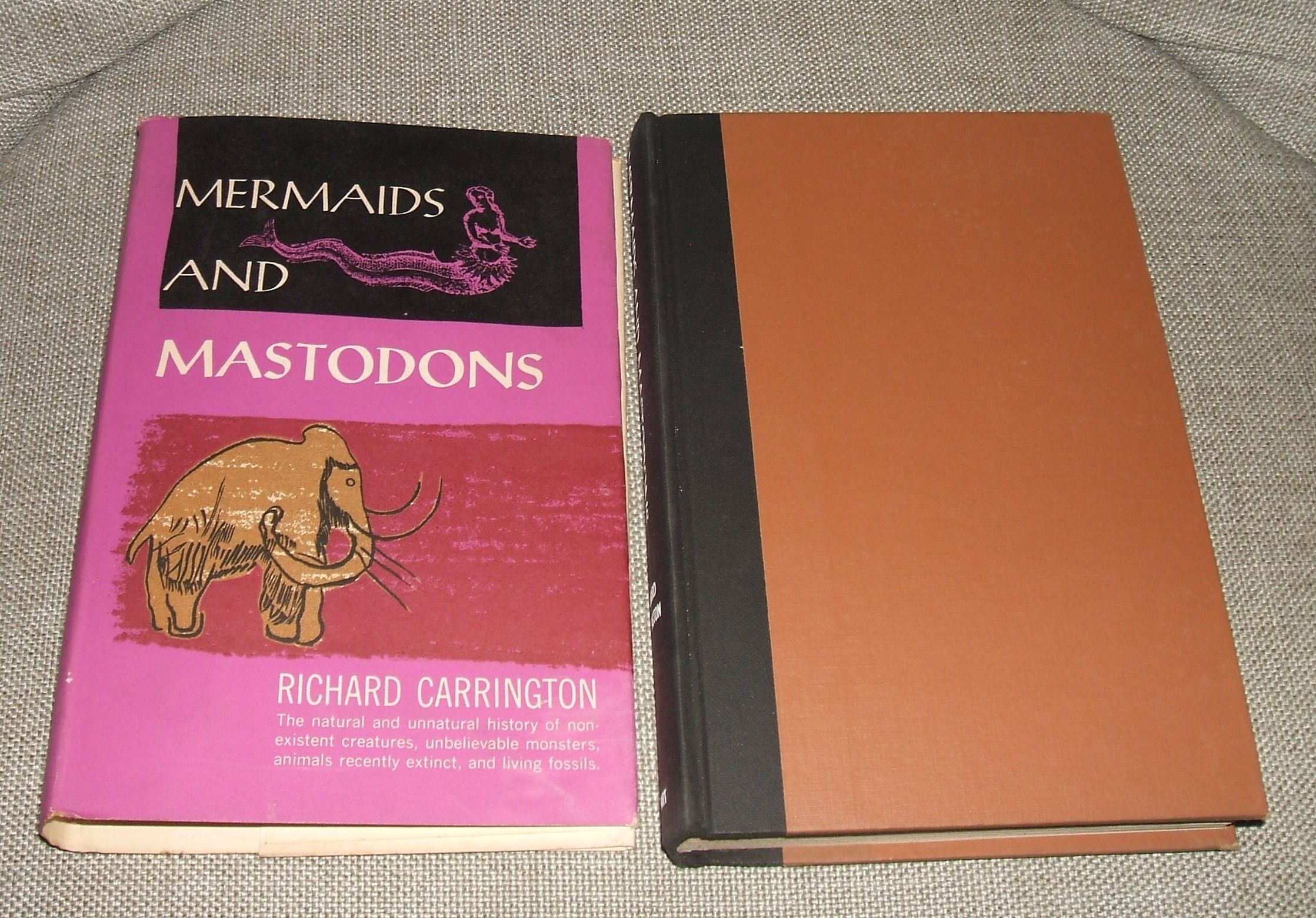 MERMAIDS AND MASTODONS