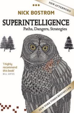 Superintelligence Paths Dangers Strategies