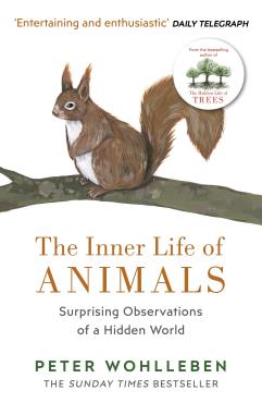 The Inner Life of Animals Love Grief and Compassion